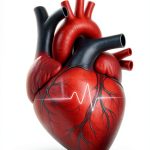Kindle Store Nursing Critical Care Guide-0